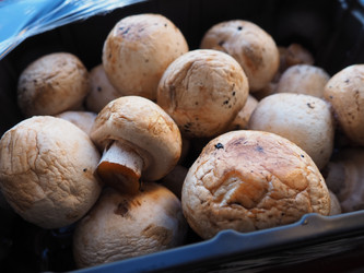 Similar image 21450169