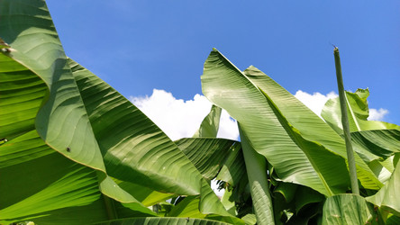 Similar image 21450170