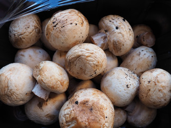 Similar image 21450171