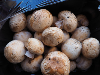 Similar image 21450173