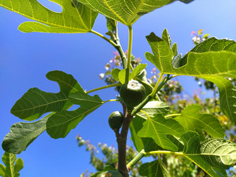 Similar image 21450183