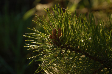 Similar image 21448077