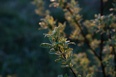 Similar image 21448078