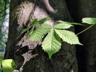 Similar image 21450552