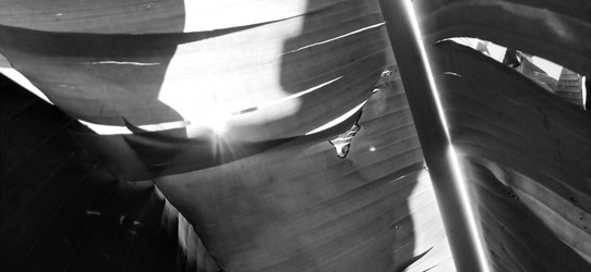 Similar image 21450557