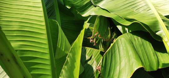 Similar image 21450563