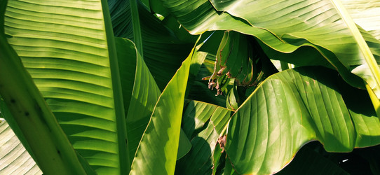 Similar image 21450567