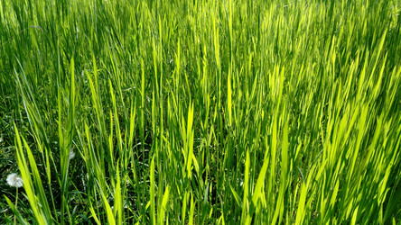 Similar image 21450570