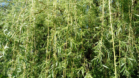 Similar image 21450573