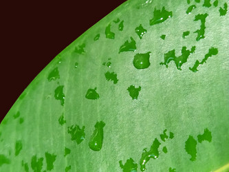 Similar image 21450574