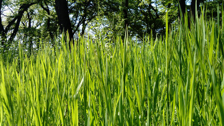 Similar image 21450575