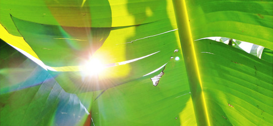 Similar image 21450577