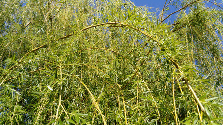 Similar image 21450579