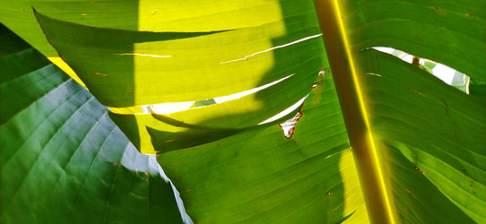 Similar image 21450581