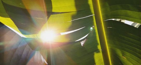 Similar image 21450585