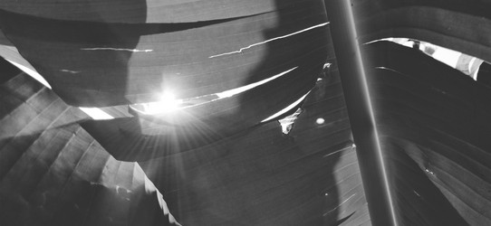 Similar image 21450587