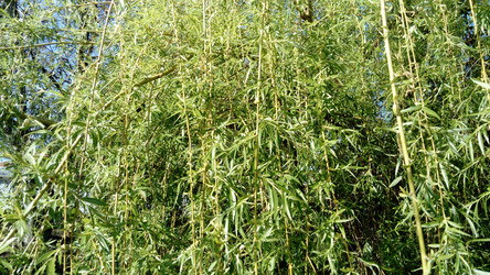 Similar image 21450588