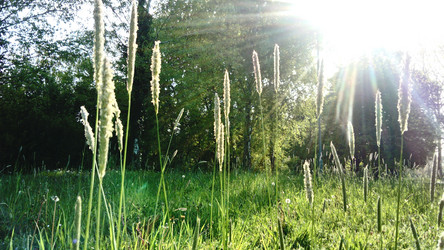 Similar image 21450589