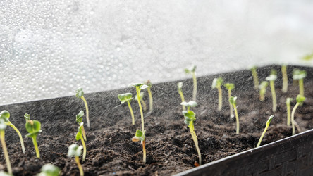 Similar image 21449499