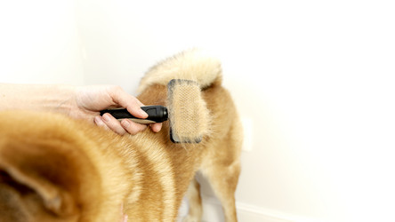 Similar image 21449501