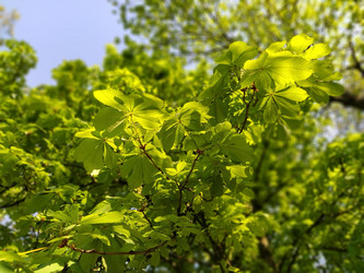 Similar image 21452072