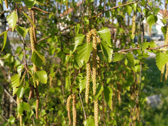 Similar image 21452073