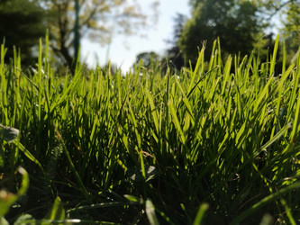 Similar image 21452226