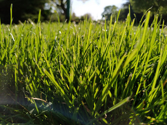 Similar image 21450189