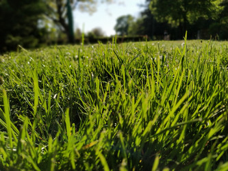 Similar image 21450191