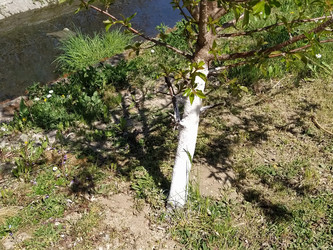 Similar image 21450193