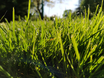 Similar image 21450197