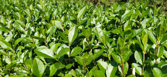 Similar image 21450198