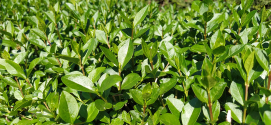 Similar image 21450199