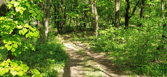 Similar image 21450200