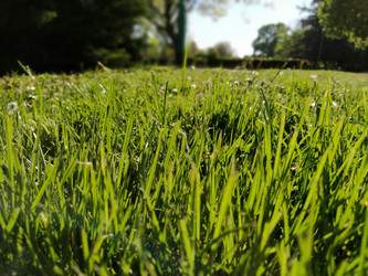 Similar image 21450205