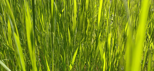 Similar image 21450209