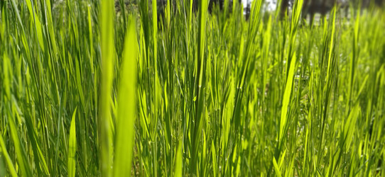 Similar image 21450213