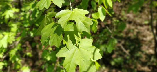 Similar image 21450214