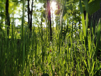 Similar image 21450216