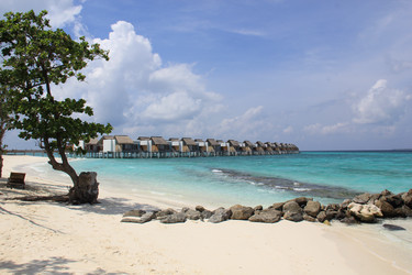 Similar image 21478901