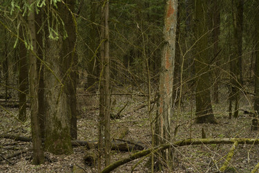 Similar image 21478903