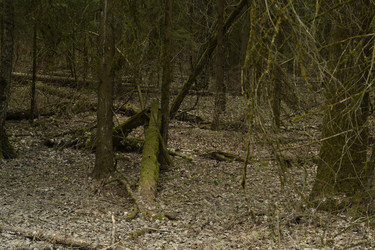 Similar image 21478905