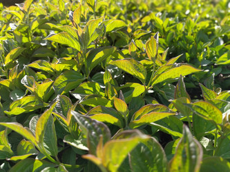 Similar image 21453313