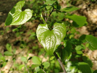 Similar image 21453314