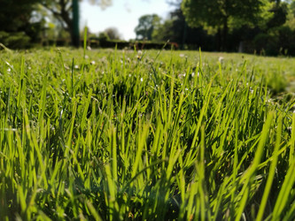 Similar image 21453319