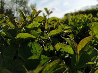 Similar image 21453320