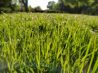 Similar image 21455343