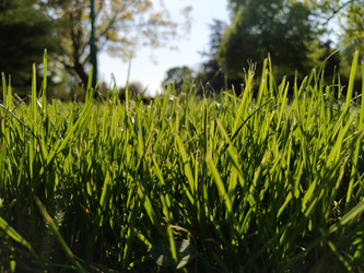 Similar image 21455347