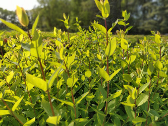 Similar image 21455348