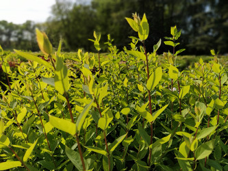 Similar image 21455349